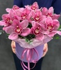 Розовые орхидеи