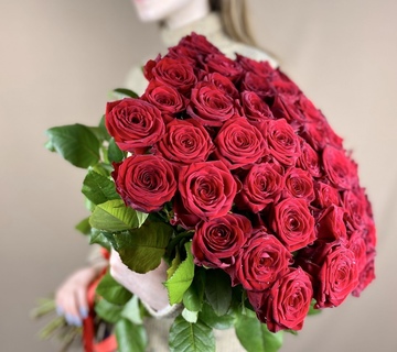 Букет из 25 красных роз голландия